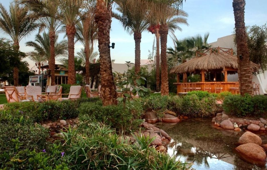 Jaz Fayrouz Resort, EG