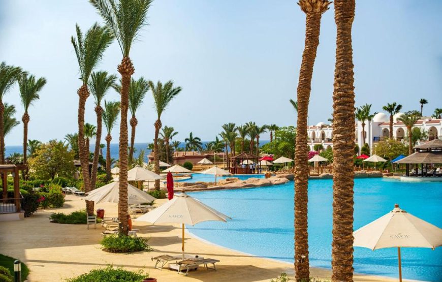 Savoy Sharm El Sheikh All Market