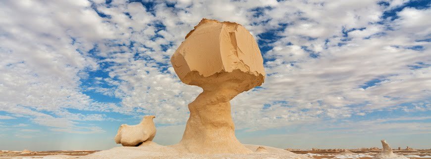 Al Dakhla Oasis