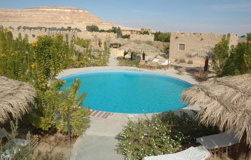 Siwa Shali Resort All Market