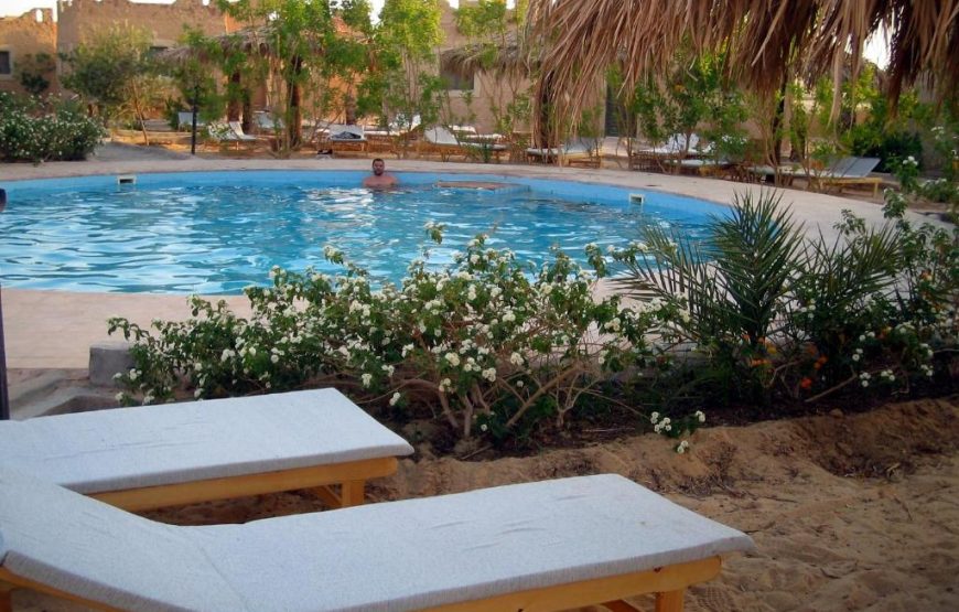 Siwa Shali Resort All Market