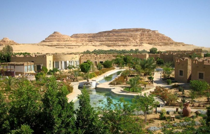 Siwa Shali Resort All Market