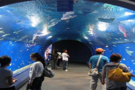 Hurghada Grand Aquarium trip