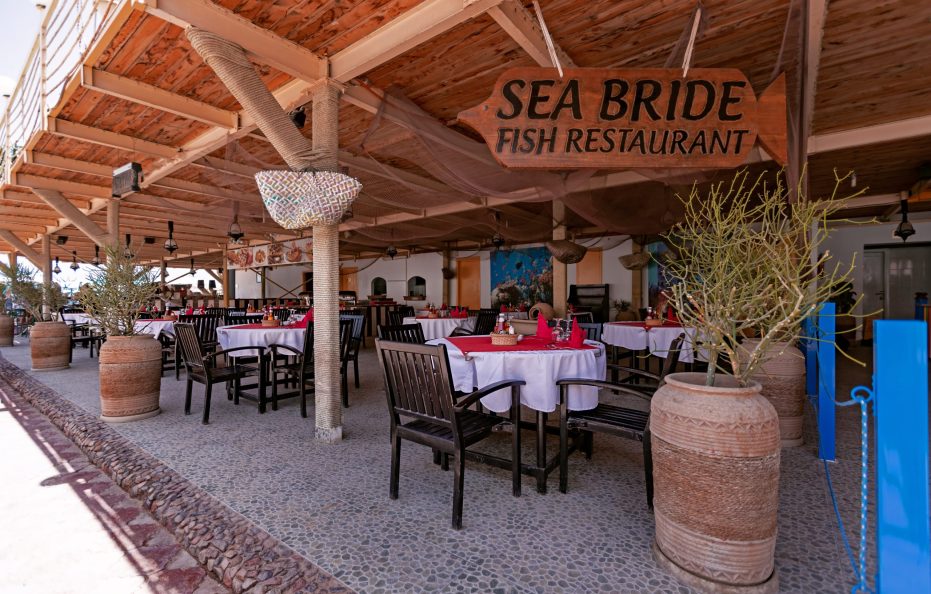 MinaMark Beach Resort for Families and Couples Only,EG