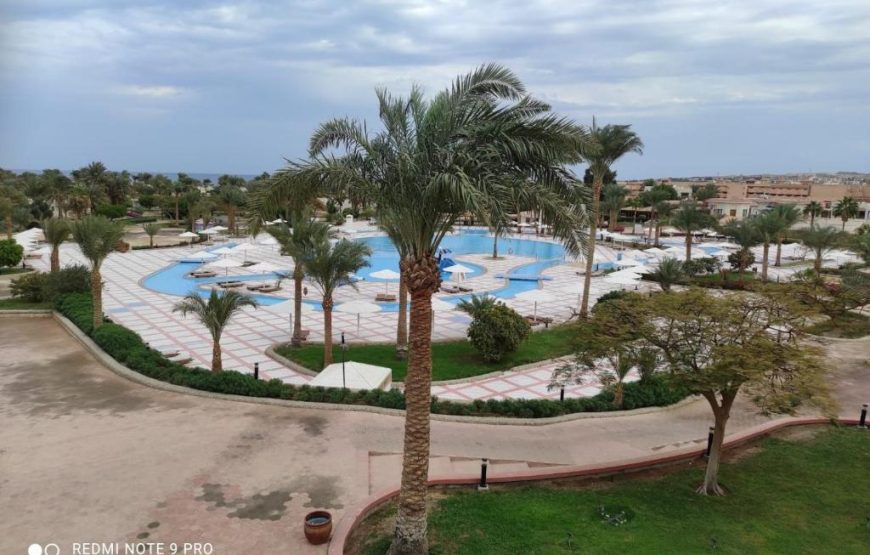 Pharaoh Azur Resort All Market