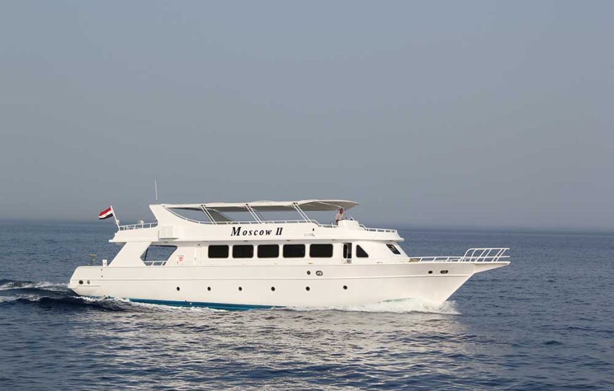 SFT Ain Sokhna full-day snorkeling cruise and submarine with private return transfer from Cairo