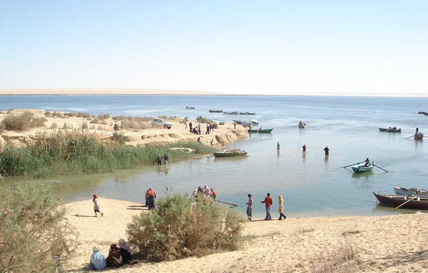 SFT Private tour of El- Fayoum Oasis and the National Park plus Meidum Pyramid from Cairo