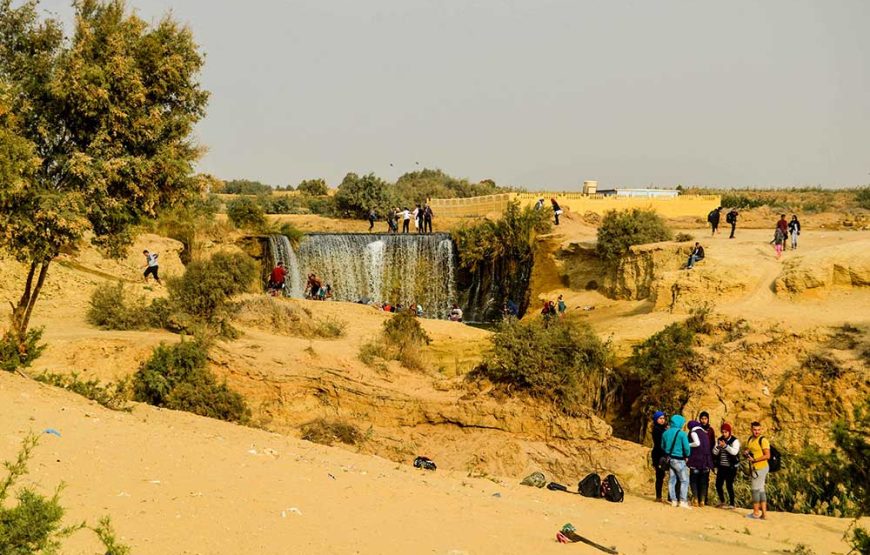 SFT Private tour of El- Fayoum Oasis and the National Park plus Meidum Pyramid from Cairo