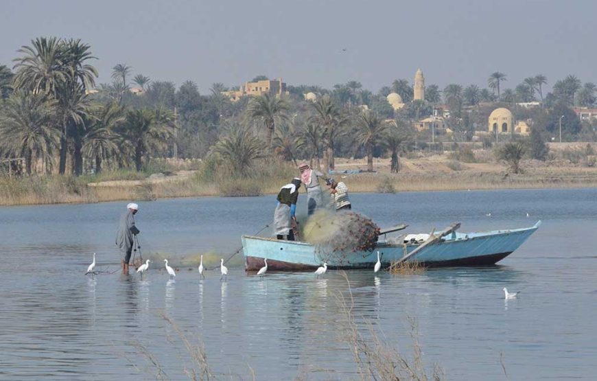 SFT Private tour of El- Fayoum Oasis and the National Park plus Meidum Pyramid from Cairo