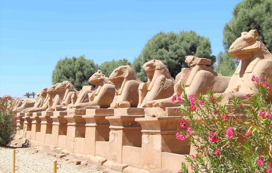 Experience the Sound and light show of the Karnak Temple from Luxor