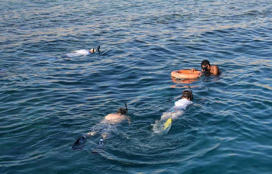 Half-day Snorkeling Boat trip with lunch and drinks from Sharm El Sheikh