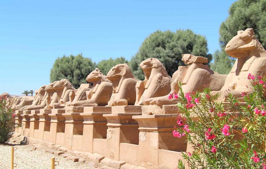 Luxor deluxe tour by bus from Hurghada