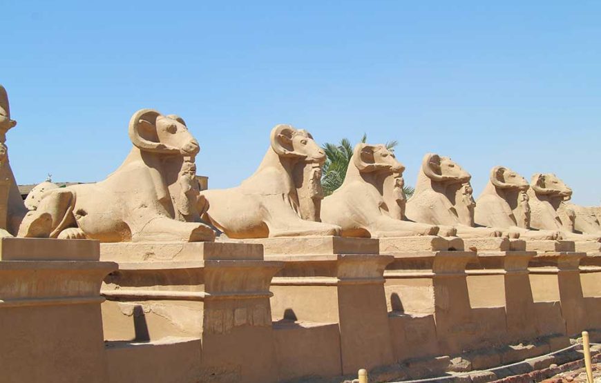 Luxor deluxe tour by bus from Marsa Alam