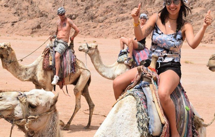 Quad bike adventure with camel ride, BBQ and show in Marsa Alam