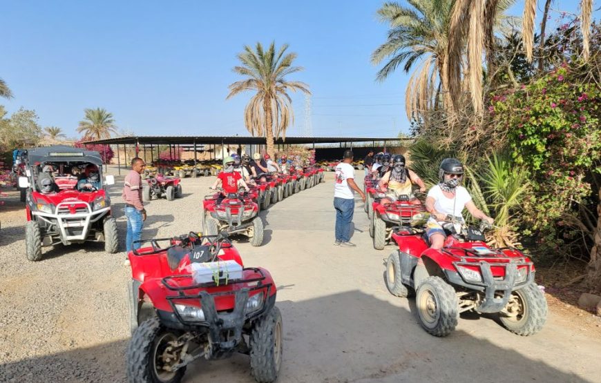 Quad bike experience with Bedouin dates and tea from Mersa Matruh or Al-Alameen