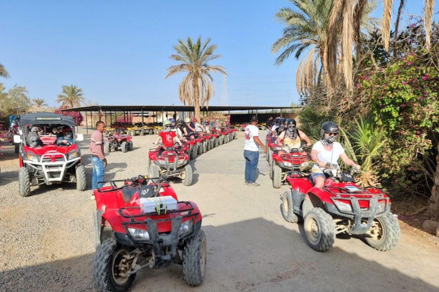 Quad bike experience with Bedouin dates and tea from Mersa Matruh or Al-Alameen