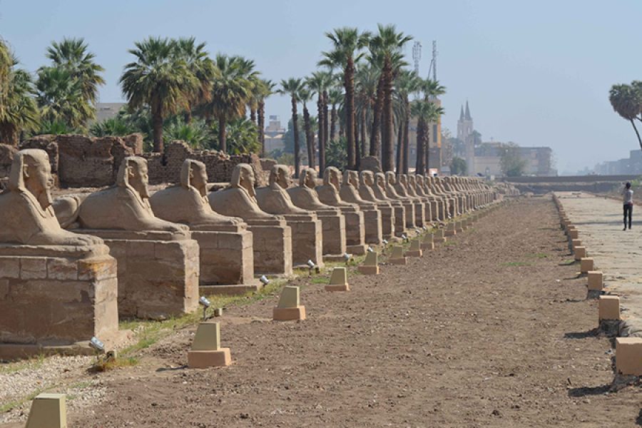 Tour of Karnak and Luxor Temples with the Sphinx Alley from Luxor