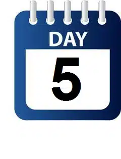 Day 5 – Leisure and Bike Ride Around Dahab Lagoon