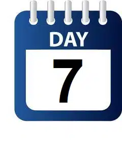 Day 7 – Desert Safari and Bedouin Camp Experience in Dahab