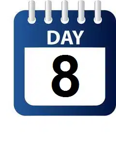 Day 8 – Glass Bottom Boat Tour of Dahab’s Reefs