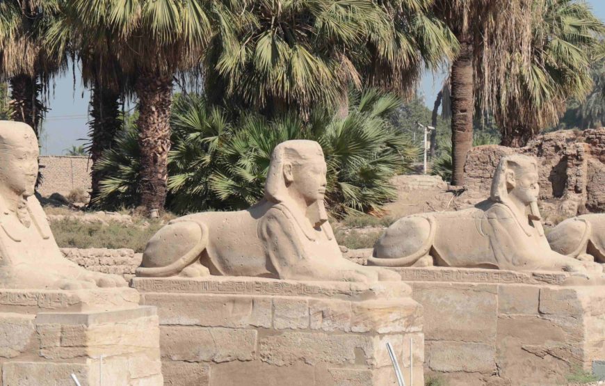 Premium tour to Luxor highlights including sailing and lunch on Lotus Nile cruise from Marsa Alam