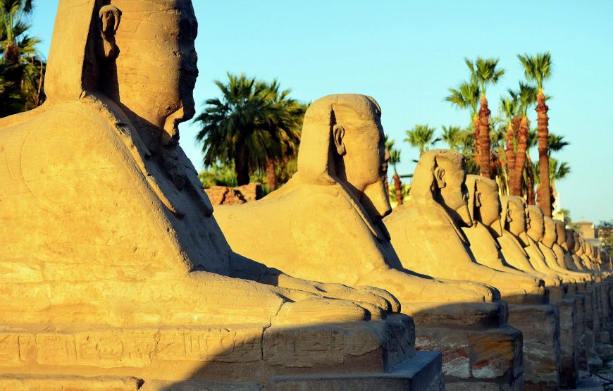 Premium tour to Luxor highlights including sailing and lunch on Lotus Nile cruise from Marsa Alam