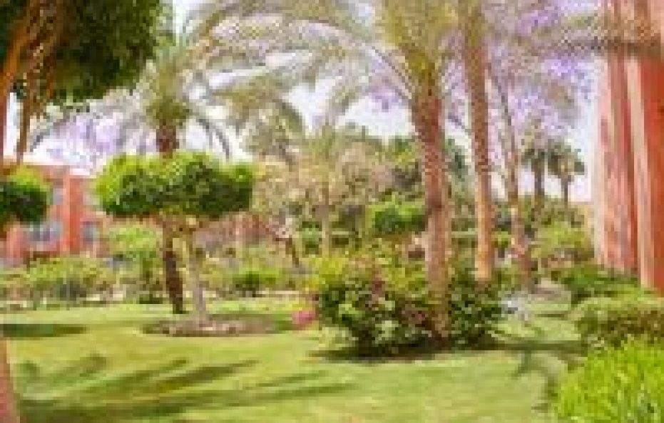 Palmera Beach Resort El Sokhna – Family Only by Kefi, EG