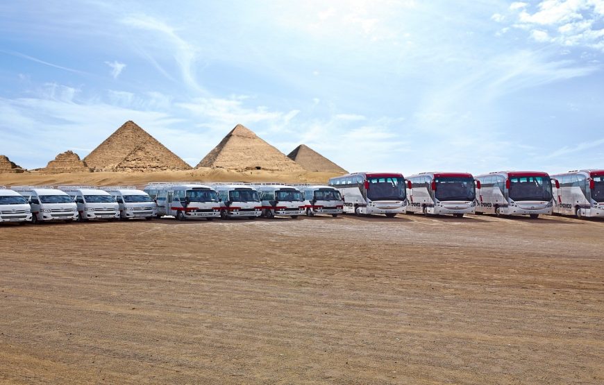 Private transfer from or to Marsa Alam Airport within Kalawy Bay or Shams Alam