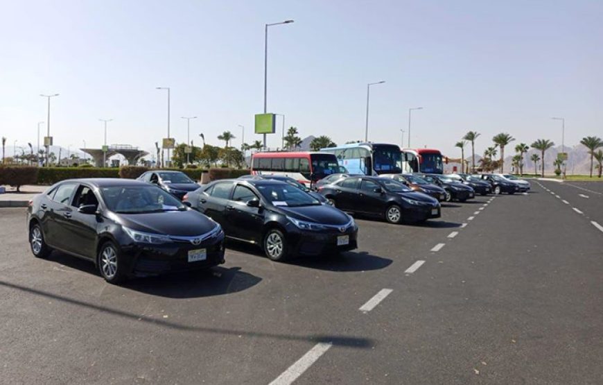 Private transfer from or to Mersa Matruh Airport within Mersa Matruh and Al-Alameen