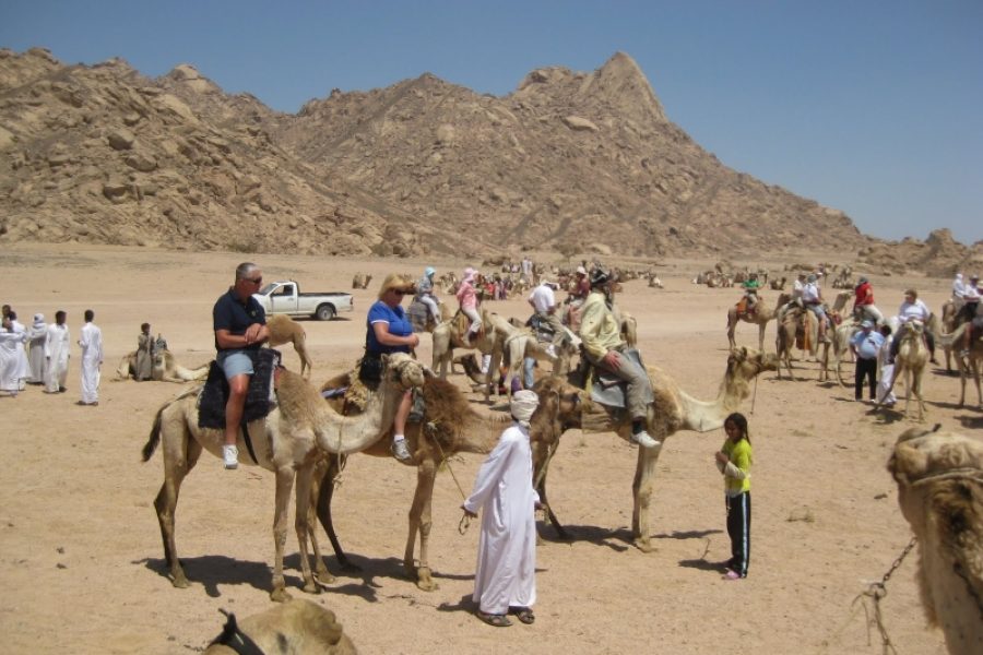 Bedouin Safari and Star Gazing Tour