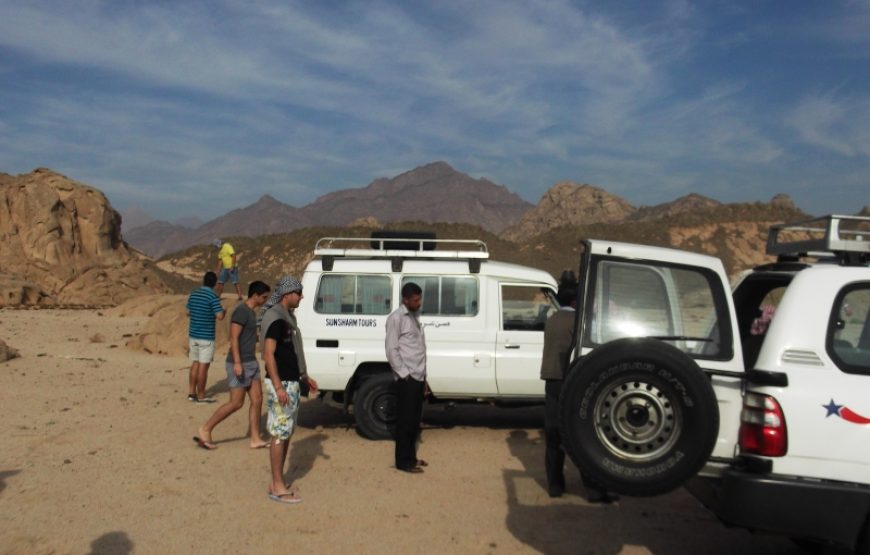 Bedouin Safari and Star Gazing Tour