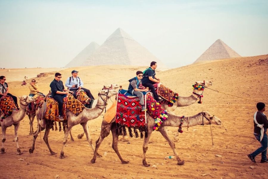 Camel Ride around the Pyramids