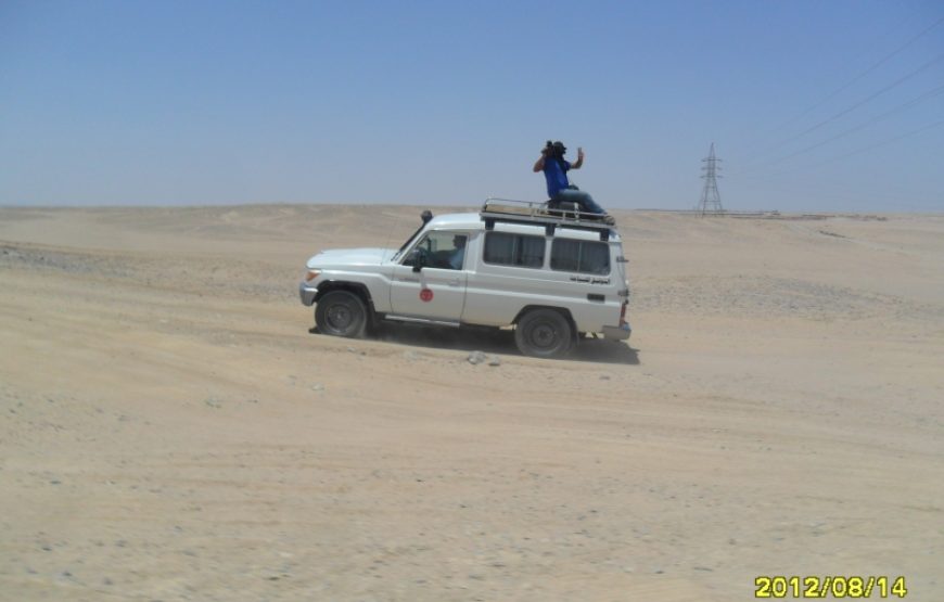 Desert Super Safari by Jeep from Marsa Alam