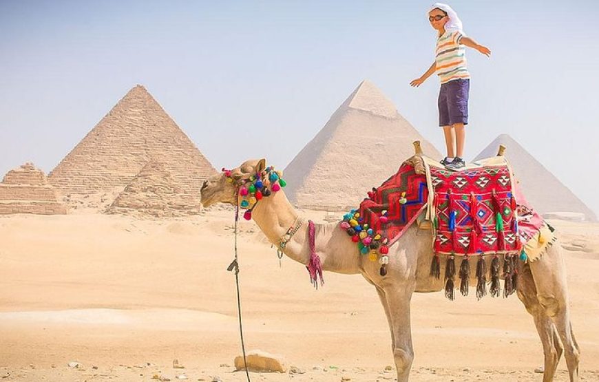 Giza Pyramids and Sakkara Tour