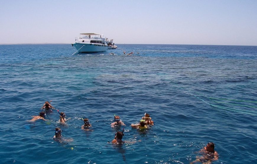 Ras Mohammed Snorkeling Day Trip from Sharm Marina