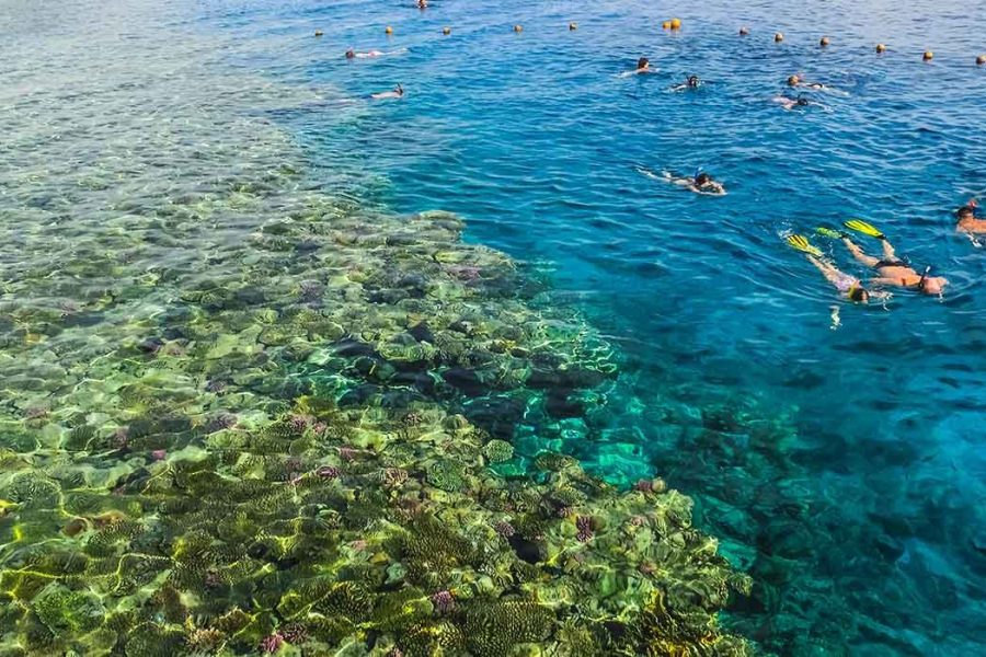 Scuba Diving in Sharm El Sheikh