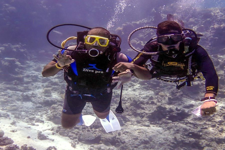 Snorkeling Tour in Aqaba