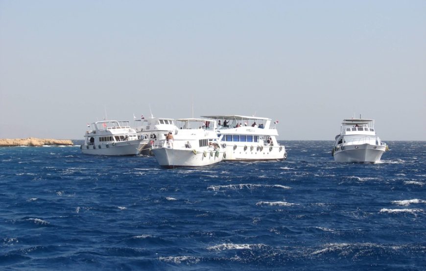 Snorkeling Trip at Hamata Islands From Marsa Alam