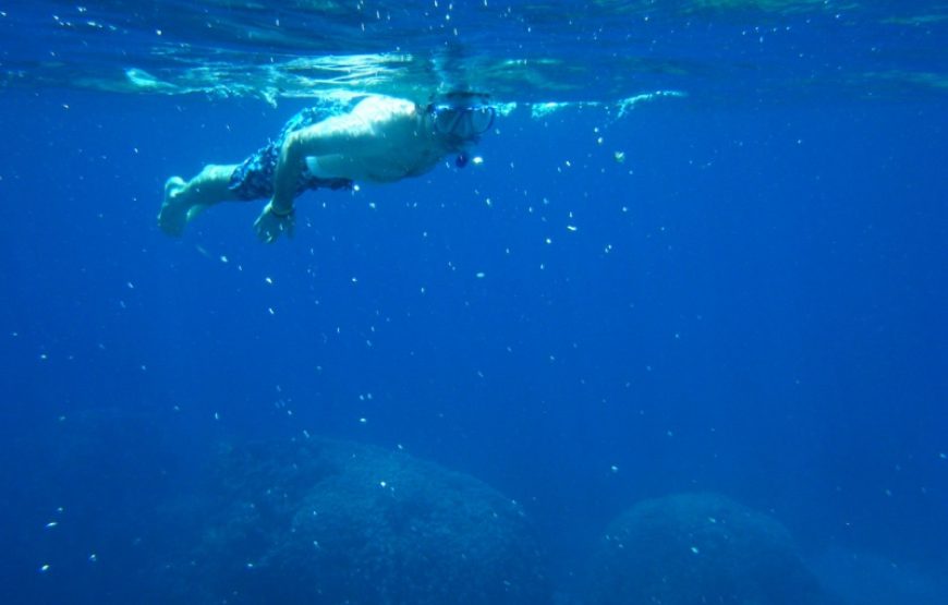 Snorkeling Trip to Tiran Island