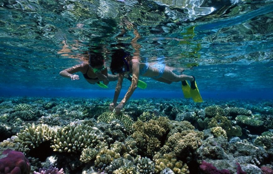 Snorkeling at Mahmya Island from Hurghada