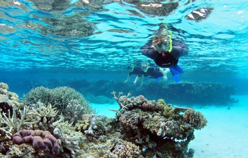 Snorkeling at Mahmya Island from Hurghada