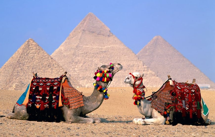 Tour to Giza Pyramids and Sphinx