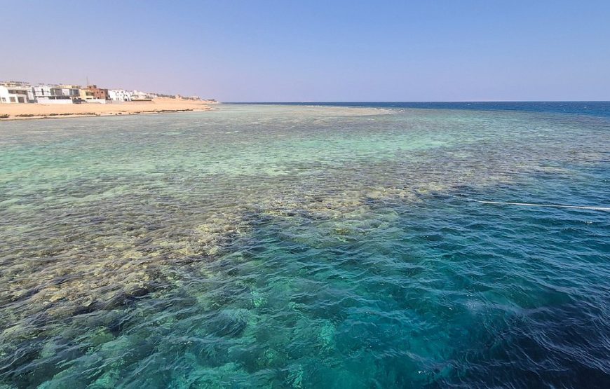 Scuba Diving in Sharm El Sheikh