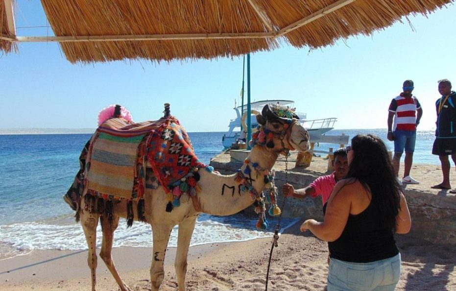 Moreno Horizon Spa and Resort , EG