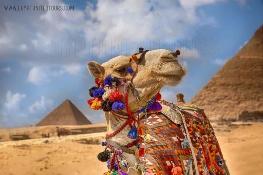 4 Days Itinerary Cairo and Fayoum From USA 2025/2026