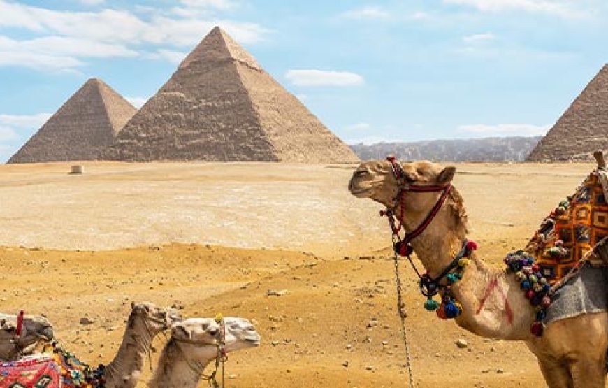 9-Day Egypt Tour: Alexandria, Cairo & Sharm El Sheikh Holiday
