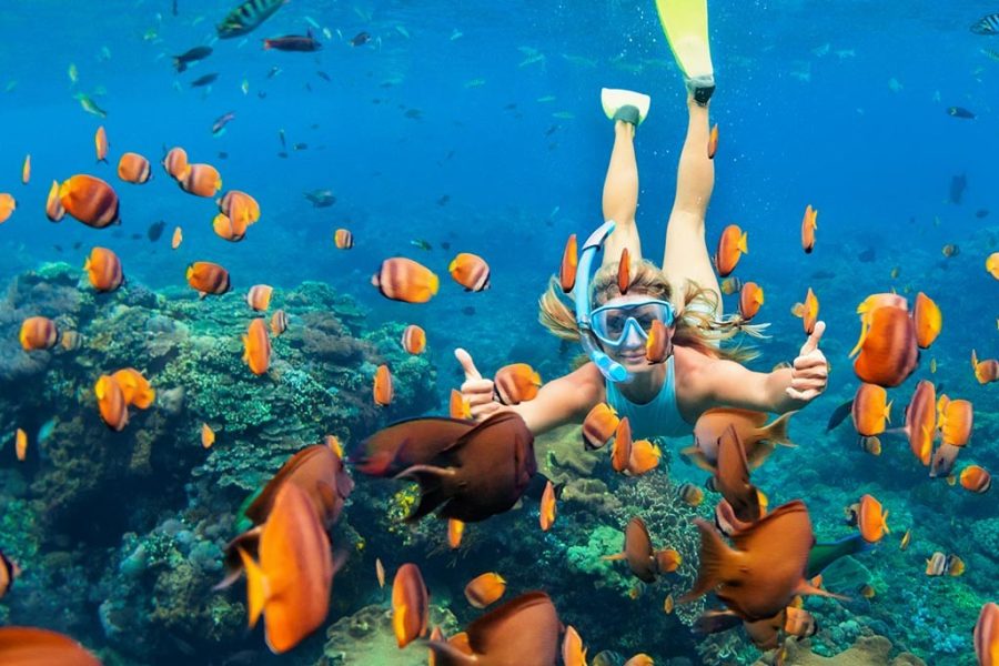 Cairo and Sharm El Sheikh Tour – 8 Days of History & Relaxation