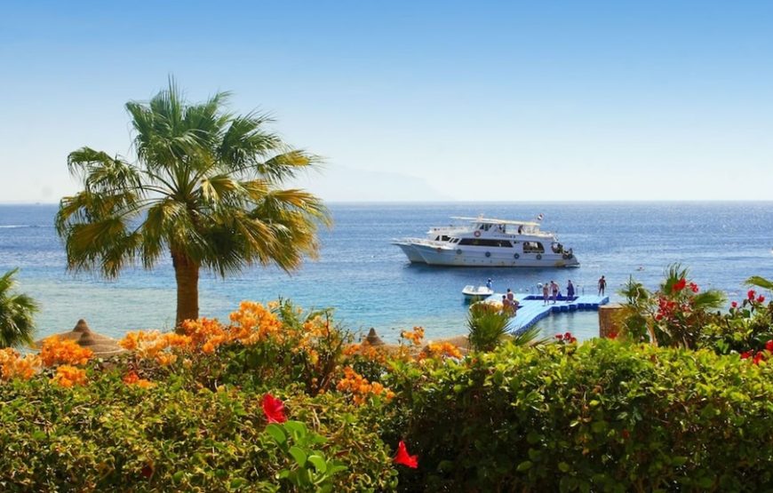 6 Days at Savoy Hotel in Sharm El Sheikh 2025/2026 – Ultimate Egypt Escape