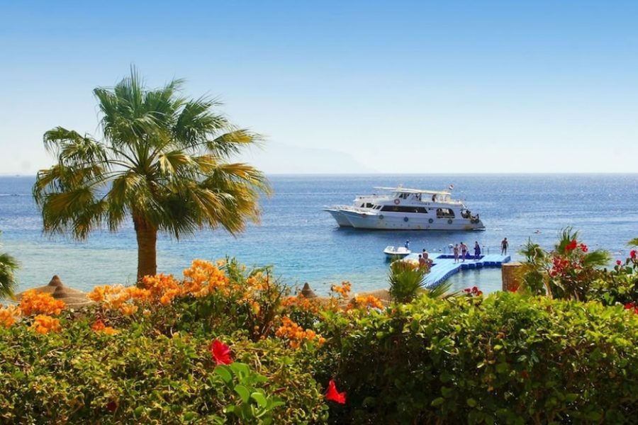 Saint Fatima Trip - National Tours 4 Days at Savoy Hotel in Sharm El Sheikh 2025/2026 for USA Travelers - Gallery Image 5