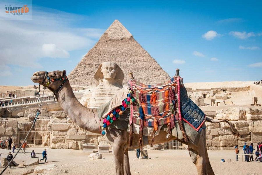 6 Days All-Inclusive Trip to Cairo, Egypt 2025/2026